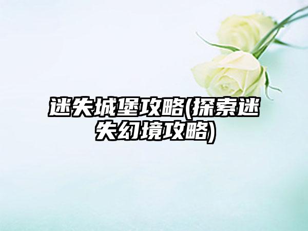 迷失城堡攻略(探索迷失幻境攻略)