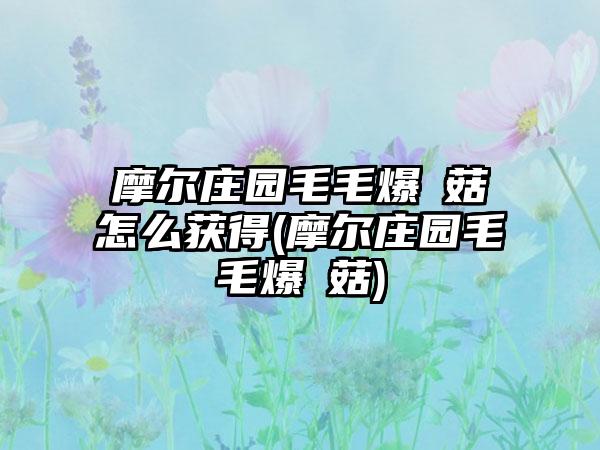 摩尔庄园毛毛爆囧菇怎么获得(摩尔庄园毛毛爆囧菇)