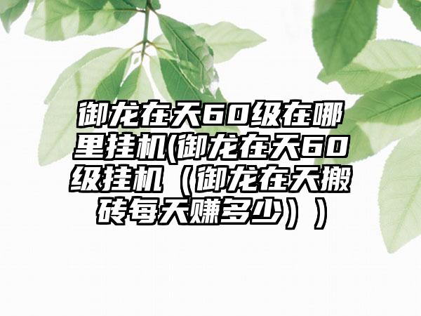 御龙在天60级在哪里挂机(御龙在天60级挂机（御龙在天搬砖每天赚多少）)