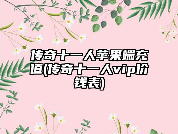 传奇十一人苹果端充值(传奇十一人vip价钱表)