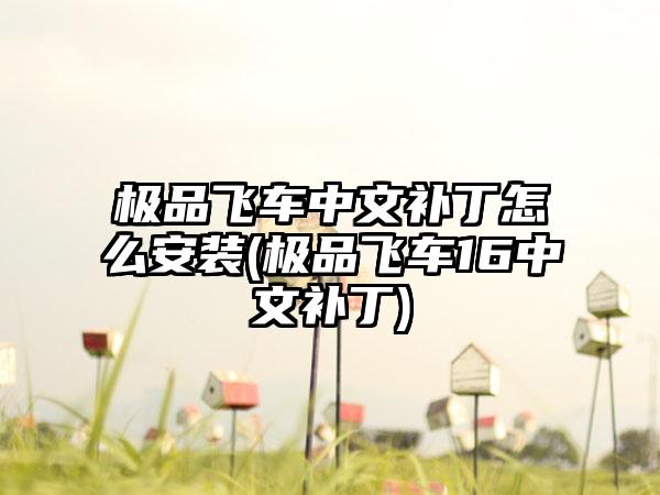 极品飞车中文补丁怎么安装(极品飞车16中文补丁)