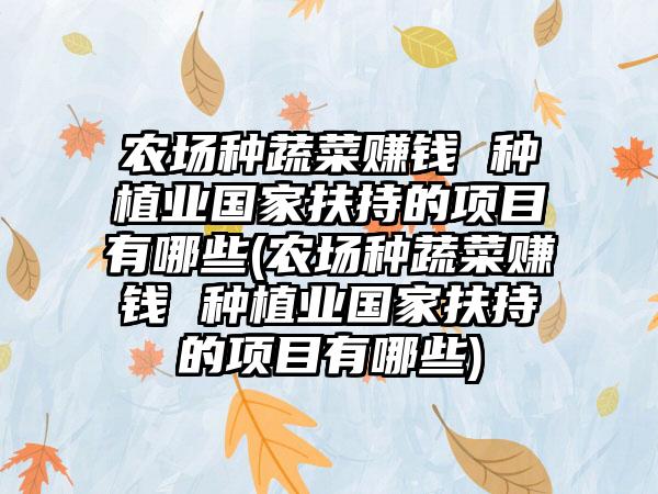 农场种蔬菜赚钱 种植业国家扶持的项目有哪些(农场种蔬菜赚钱 种植业国家扶持的项目有哪些)