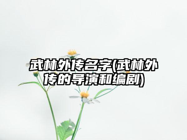 武林外传名字(武林外传的导演和编剧)