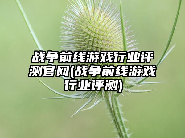 战争前线游戏行业评测官网(战争前线游戏行业评测)