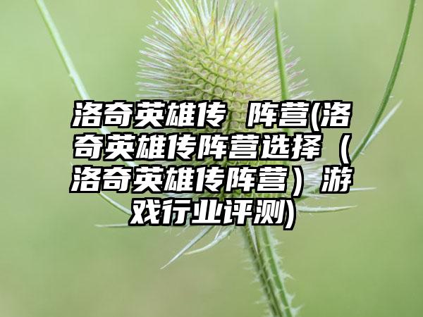 洛奇英雄传 阵营(洛奇英雄传阵营选择（洛奇英雄传阵营）游戏行业评测)