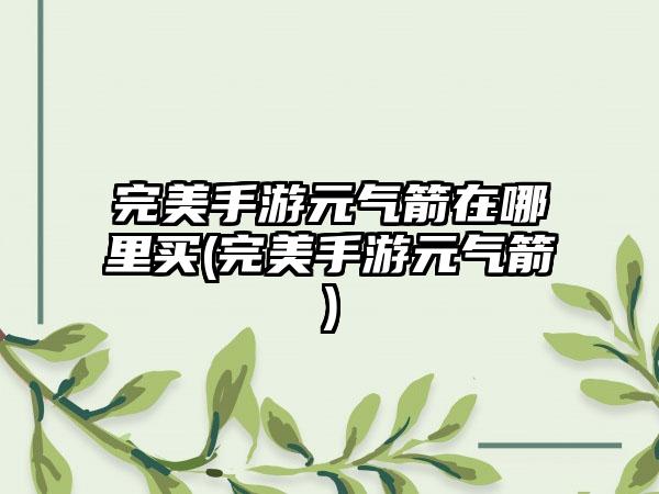 完美手游元气箭在哪里买(完美手游元气箭)