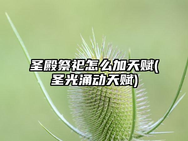 圣殿祭祀怎么加天赋(圣光涌动天赋)
