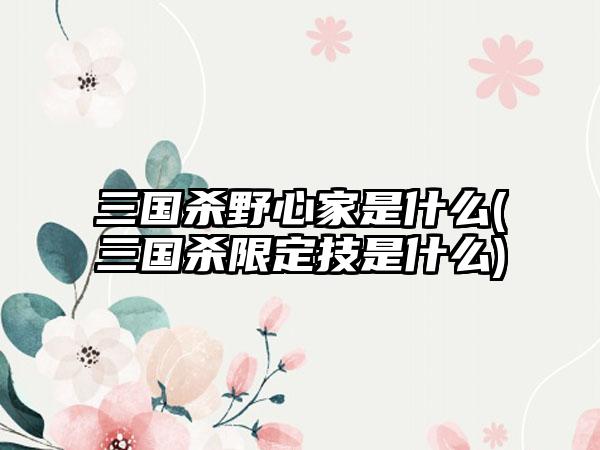 三国杀野心家是什么(三国杀限定技是什么)