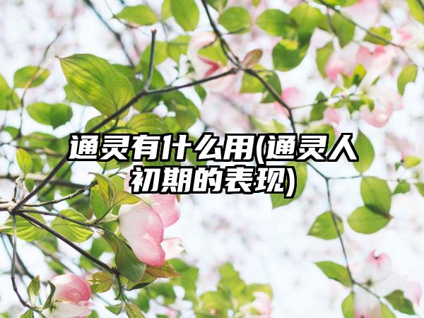 通灵有什么用(通灵人初期的表现)
