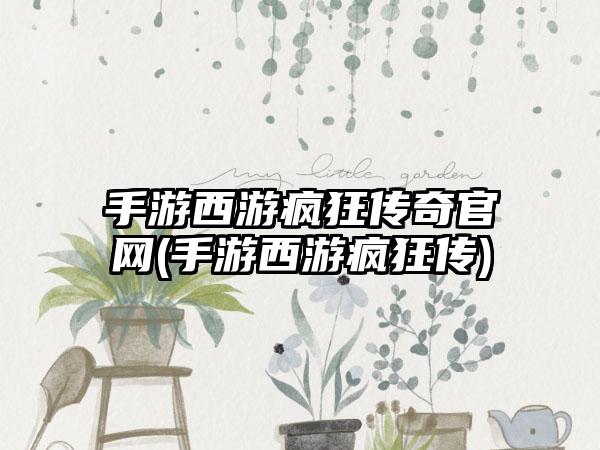 手游西游疯狂传奇官网(手游西游疯狂传)