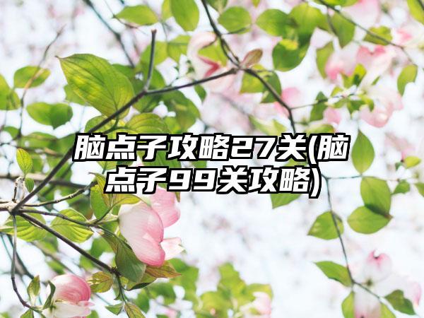 脑点子攻略27关(脑点子99关攻略)