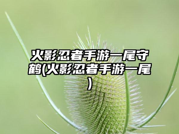 火影忍者手游一尾守鹤(火影忍者手游一尾)