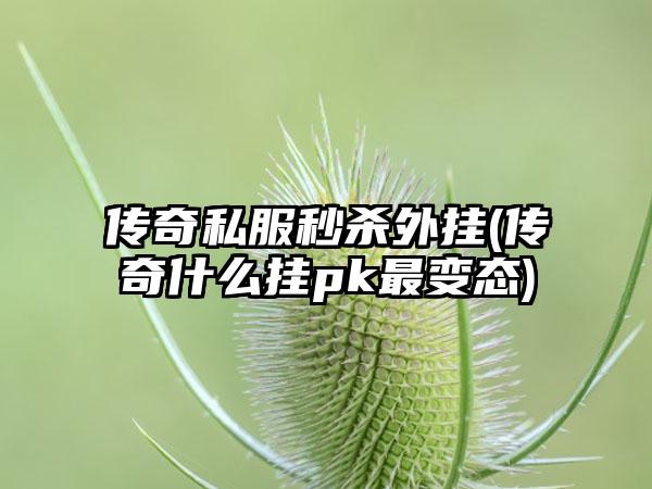 传奇私服秒杀外挂(传奇什么挂pk最变态)