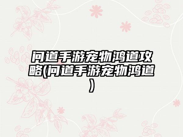 问道手游宠物鸿道攻略(问道手游宠物鸿道)