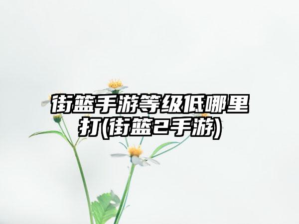 街篮手游等级低哪里打(街篮2手游)