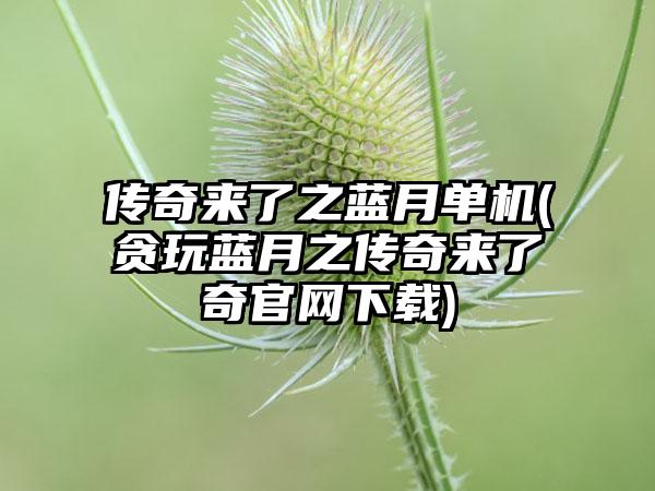 传奇来了之蓝月单机(贪玩蓝月之传奇来了奇官网下载)