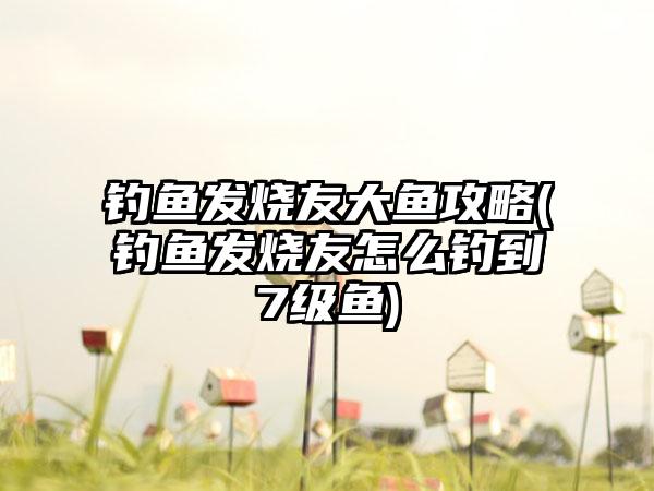 钓鱼发烧友大鱼攻略(钓鱼发烧友怎么钓到7级鱼)