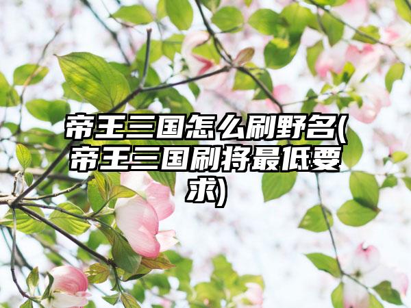 帝王三国怎么刷野名(帝王三国刷将最低要求)