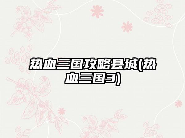 热血三国攻略县城(热血三国3)