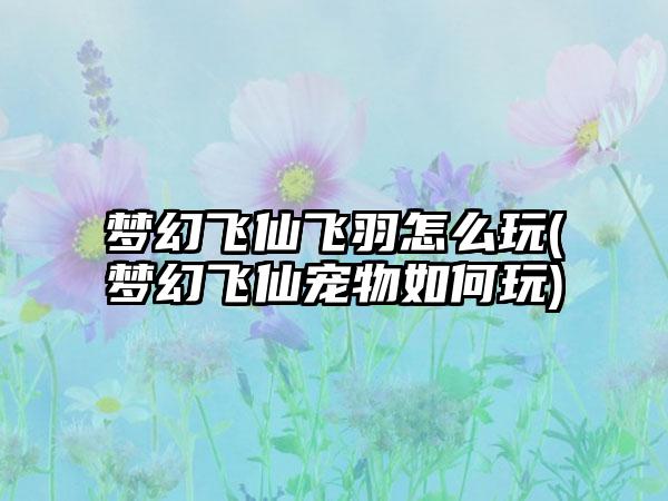 梦幻飞仙飞羽怎么玩(梦幻飞仙宠物如何玩)