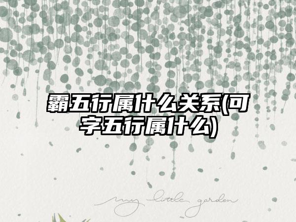 霸五行属什么关系(可字五行属什么)
