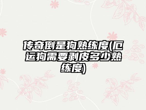 传奇倒是狗熟练度(厄运狗需要剥皮多少熟练度)