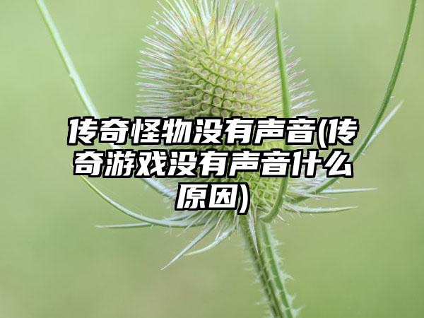 传奇怪物没有声音(传奇游戏没有声音什么原因)