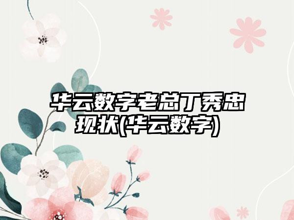 华云数字老总丁秀忠现状(华云数字)