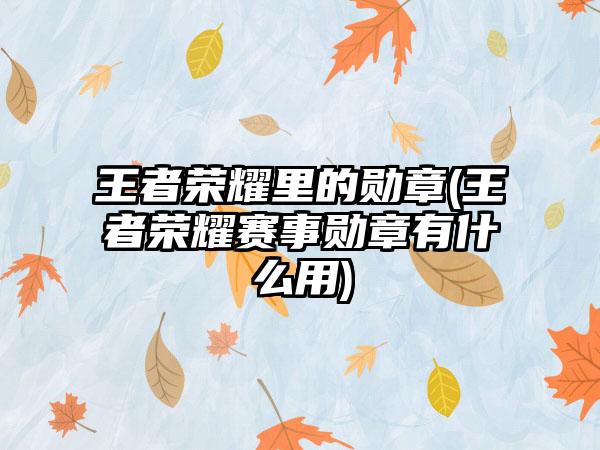 王者荣耀里的勋章(王者荣耀赛事勋章有什么用)