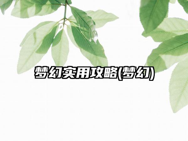 梦幻实用攻略(梦幻)