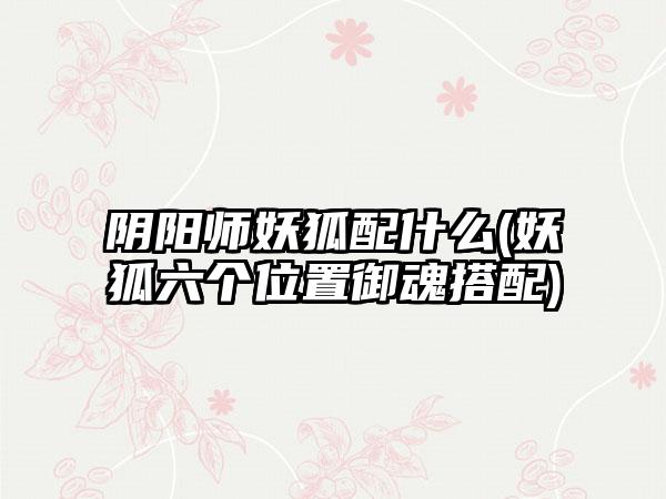 阴阳师妖狐配什么(妖狐六个位置御魂搭配)