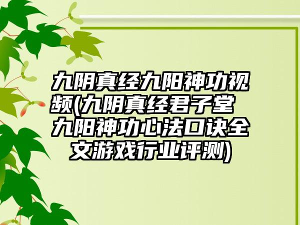 九阴真经九阳神功视频(九阴真经君子堂 九阳神功心法口诀全文游戏行业评测)