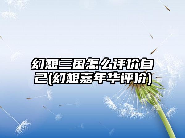 幻想三国怎么评价自己(幻想嘉年华评价)