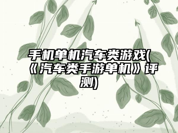手机单机汽车类游戏(《汽车类手游单机》评测)