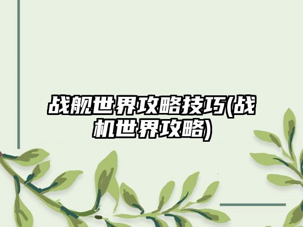 战舰世界攻略技巧(战机世界攻略)