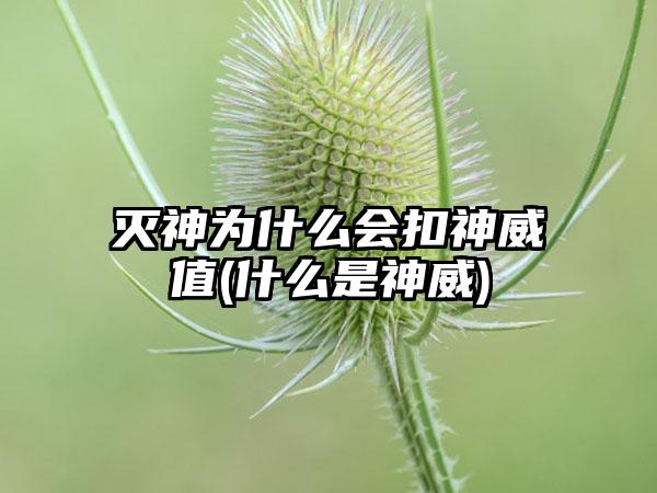 灭神为什么会扣神威值(什么是神威)