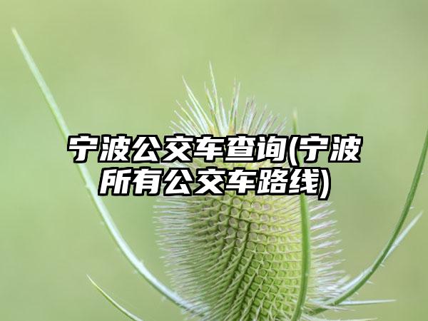宁波公交车查询(宁波所有公交车路线)