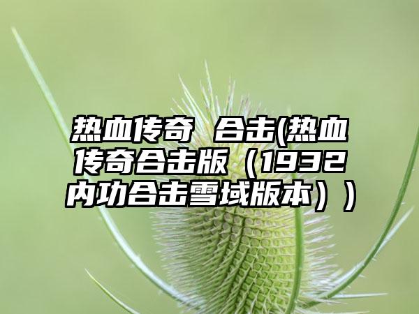 热血传奇 合击(热血传奇合击版（1932内功合击雪域版本）)