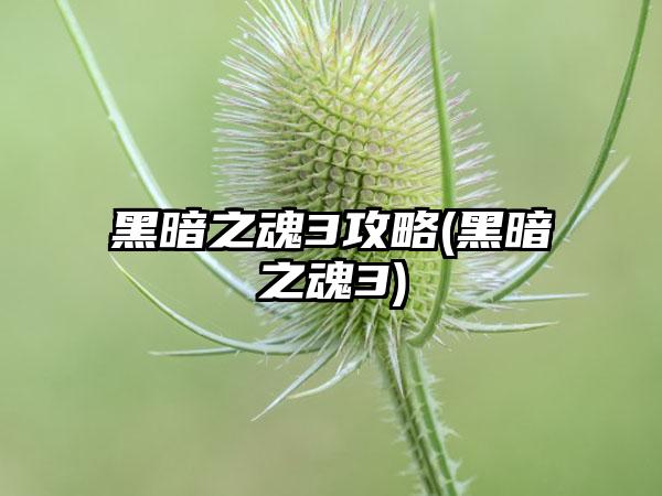 黑暗之魂3攻略(黑暗之魂3)