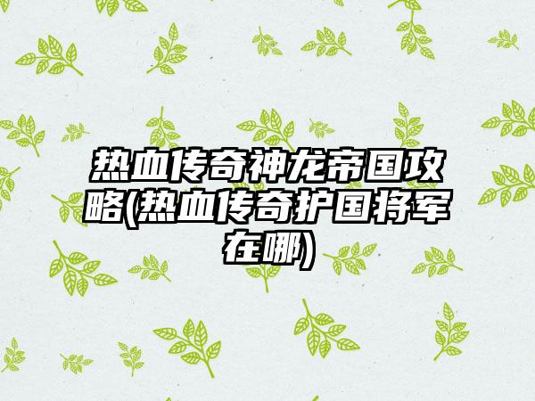 热血传奇神龙帝国攻略(热血传奇护国将军在哪)