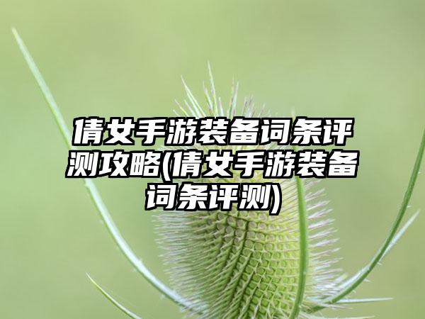 倩女手游装备词条评测攻略(倩女手游装备词条评测)