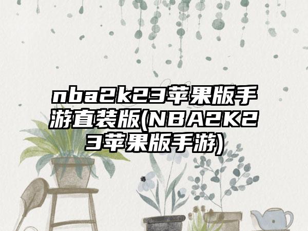 nba2k23苹果版手游直装版(NBA2K23苹果版手游)