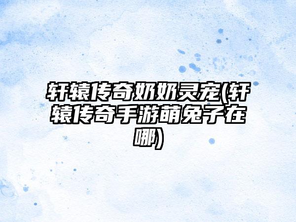 轩辕传奇奶奶灵宠(轩辕传奇手游萌兔子在哪)