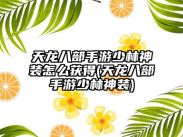 天龙八部手游少林神装怎么获得(天龙八部手游少林神装)