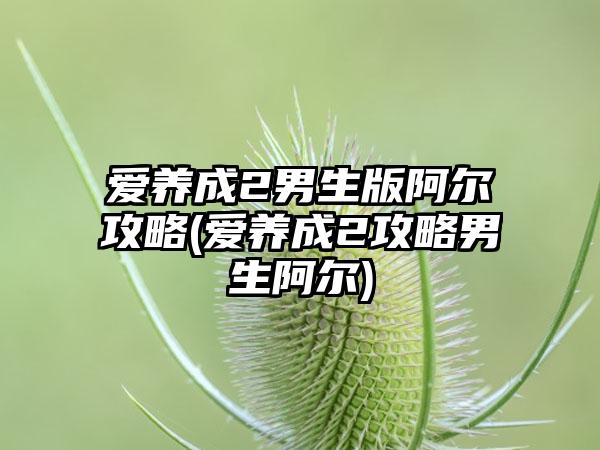 爱养成2男生版阿尔攻略(爱养成2攻略男生阿尔)