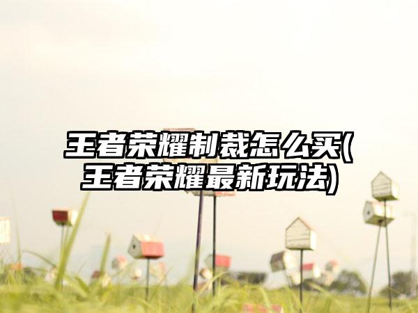 王者荣耀制裁怎么买(王者荣耀最新玩法)