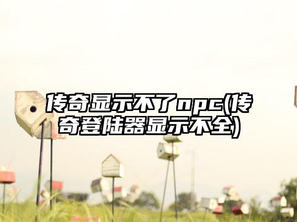 传奇显示不了npc(传奇登陆器显示不全)