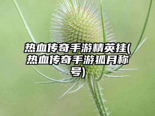 热血传奇手游精英挂(热血传奇手游狐月称号)