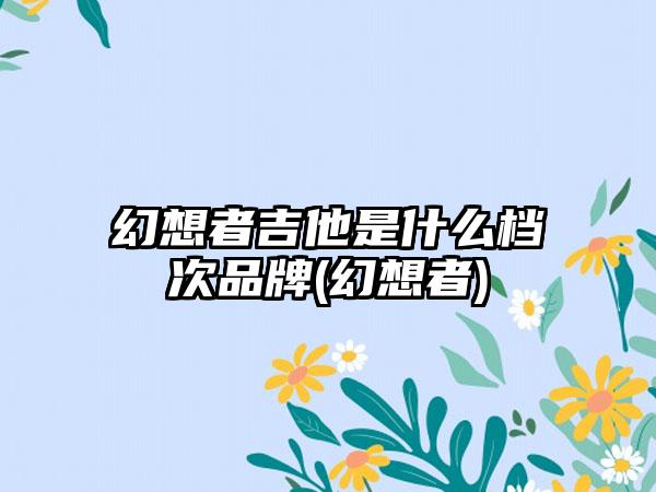 幻想者吉他是什么档次品牌(幻想者)