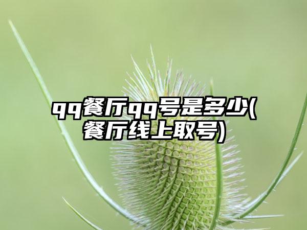 qq餐厅qq号是多少(餐厅线上取号)